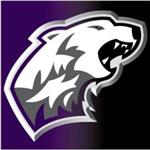 Polar Bear Mascot 